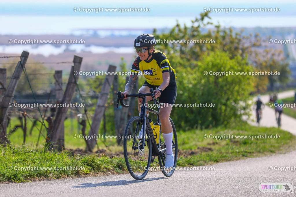 TRA_0393 | Neusiedlersee Radmarathon 2026@sportshot_your_pictrs #yourpictures#roadtowm2029 #nrm #neusiedlerseeradmarathon #neusiedlersee #neusiedlerseetourismus #burgenland #mörbisch #nrm26 #burgenlandtourismus #voglundco #poweredbyburgenlandtourismus #radsport #rad #marathon #ucigranfondo #visitburgenland #ucigranfondoworldseries