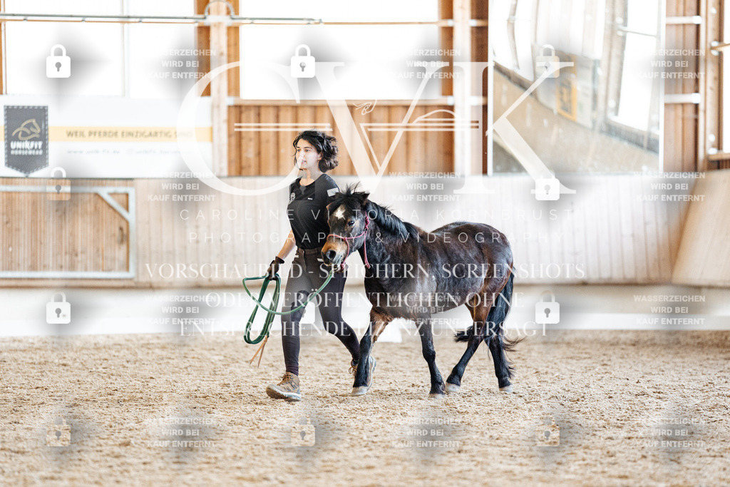CK906842 | Turnierfotografie Pferdefotografie Trier Rheinland-Pfalz Pferdesport Reitsport Tierfotografie Sportfotografie Pferdevideo Pferdevideografie Equestrianvideography equestrianphotography  - Realisiert mit Pictrs.com
