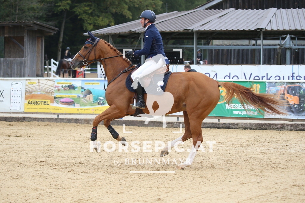 DL2Q1488 | Willkommen bei Brunnmayr - Design & Fotografie – Ihrem Spezialisten für Reitturniere und Pferdeveranstaltungen in Oberösterreich, Salzburg und Bayern! Seit über 17 Jahren sind wir leidenschaftlich dabei.