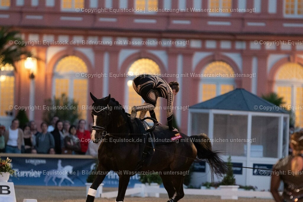 20230527_Voltigieren_NASPA_Flutlicht_0532 | equistock
