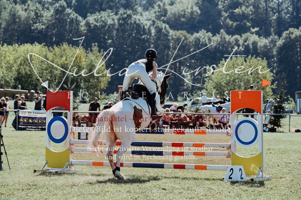 DSC_6054 | Pferde- und Turnierfotografie in Westsachsen. Pferdeportraits, Auftragszeichnungen und intuitive Kunst.