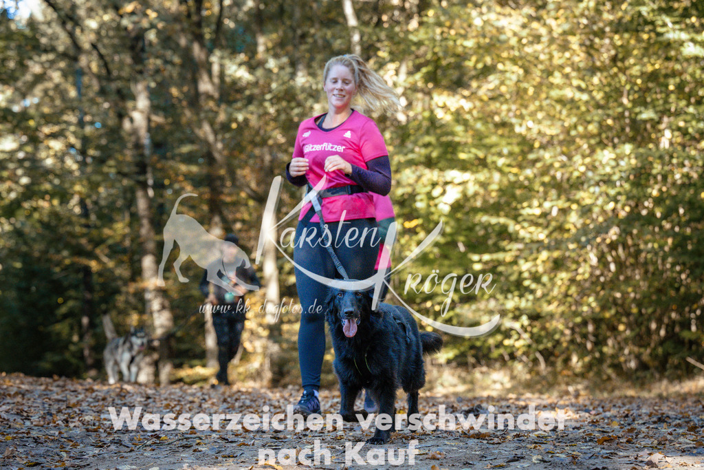 1105_ZZ91512 | kk-dogfotos