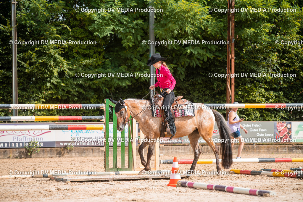 ZS3_9371 | dv-media-shop - Realisiert mit Pictrs.com