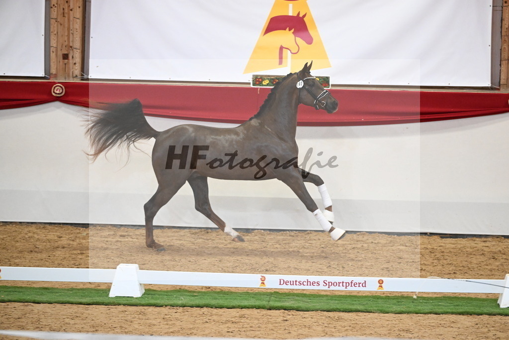 Kat.-Nr. 47 v. Damontez_Pfefferle_2250120 | hf-fotografie - Realisiert mit Pictrs.com