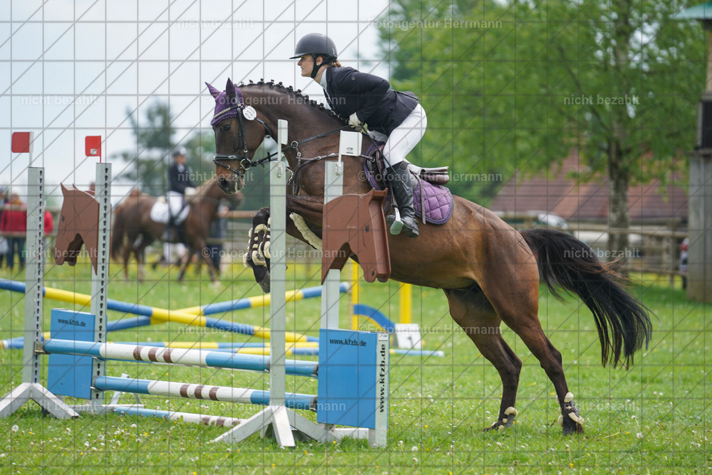 20240509-FAH02450 | Turnierbilder der Turnierfotografen Bayern, Pferdesport Fotografie, Reitsportbilder, Turnier Landberg am Lech, Turnierbilder bayern, Fotoagentur Herrmann