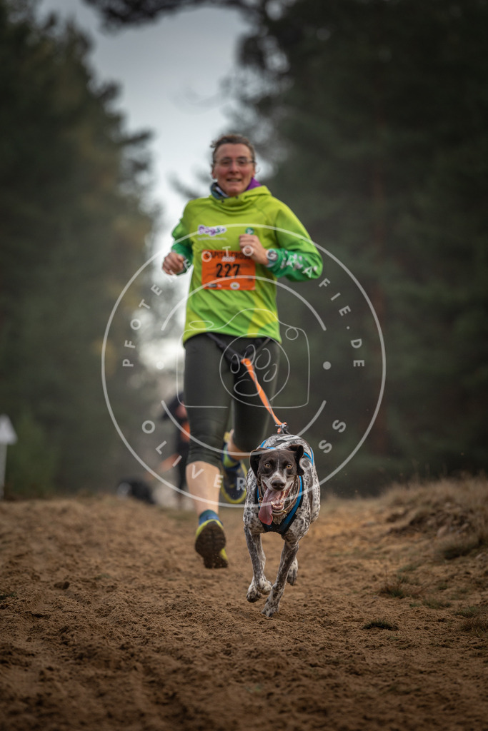 Pfotenfotografie_DV3A5450 | Hundefotografie, Tierfotograf, Pfotenfotografie, Fotoshooting Hund, Hunde Portrait, Hundesport, Hundeportraits, Heideshooting, Hunde, Sportfotograf, Hundefotograf, Turnierhundsport, THS,  - Realisiert mit Pictrs.com