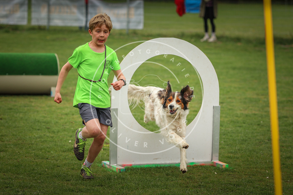 Pfotenfotografie_0L8A1742 | Hundefotografie, Tierfotograf, Pfotenfotografie, Fotoshooting Hund, Hunde Portrait, Hundesport, Hundeportraits, Heideshooting, Hunde, Sportfotograf, Hundefotograf, Turnierhundsport, THS,  - Realisiert mit Pictrs.com