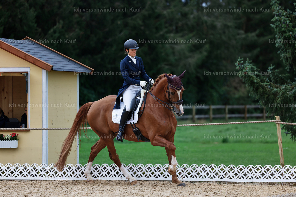 12-089-DRESSUR  S___  -StoibPH-5361 | working equitationturnier fotograf videograf stoibphotography marixx film working equitation deutschland reitsport turnierfotografie eventfotografie equestrian events
