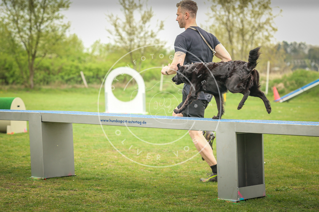 Pfotenfotografie_0L8A0159 | Hundefotografie, Tierfotograf, Pfotenfotografie, Fotoshooting Hund, Hunde Portrait, Hundesport, Hundeportraits, Heideshooting, Hunde, Sportfotograf, Hundefotograf, Turnierhundsport, THS,  - Realisiert mit Pictrs.com