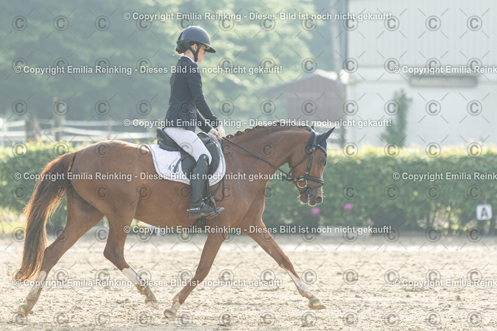 CL5A3368 | Emilia Reinking Fotografie - Realisiert mit Pictrs.com