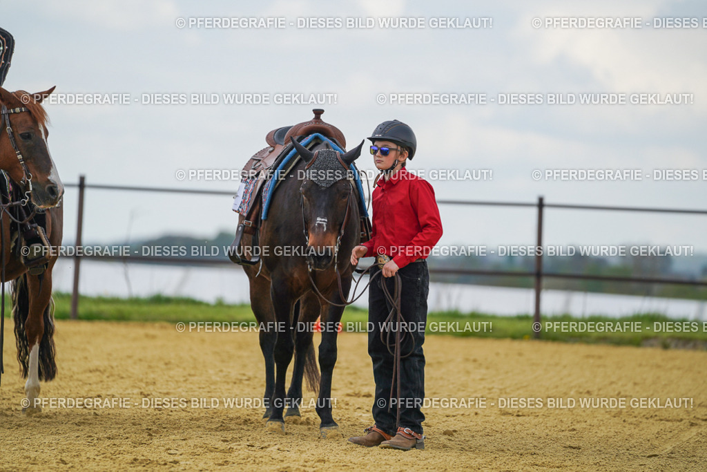 DSC06346 | Pferdegrafie