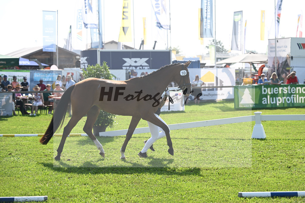 Kat-Nr. 10 Lissaros Confess Color_Schachinger_34240181 | hf-fotografie - Realisiert mit Pictrs.com