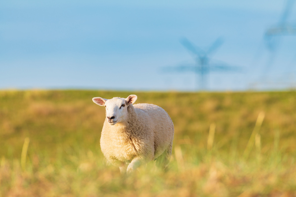 2022_06_29_HETLINGER-SCHANZE_MCP0104 | Hochwertig gedruckte Fotografien für die Wand, als Kalender und zum Verschenken. Hamburg & Norddeutschland und überall wo ich mit der Kamera unterwegs war.