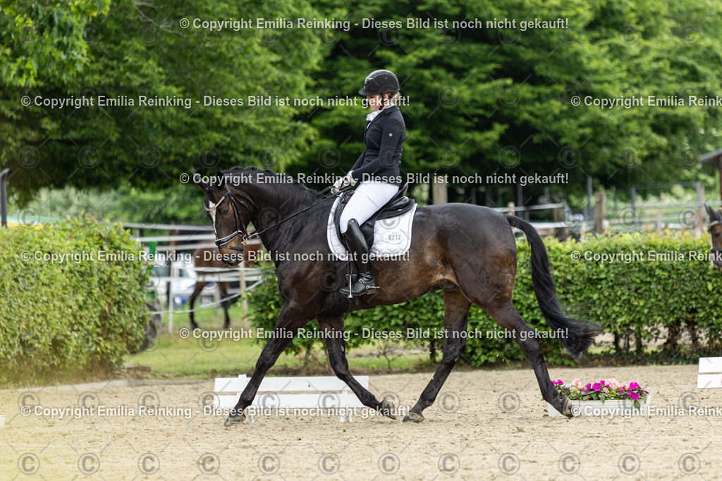 CL5A1064 | Emilia Reinking Fotografie - Realisiert mit Pictrs.com