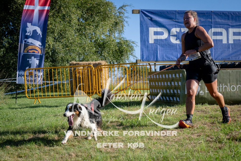 0852_ZZ95154 | kk-dogfotos