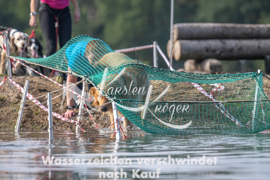 1136_ZZ93492 | kk-dogfotos