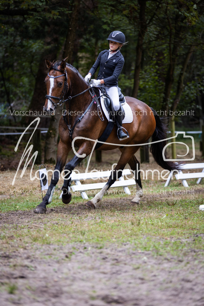 HB-Caprilli-014 | MomenTaufnahmen Pferdesportfotos