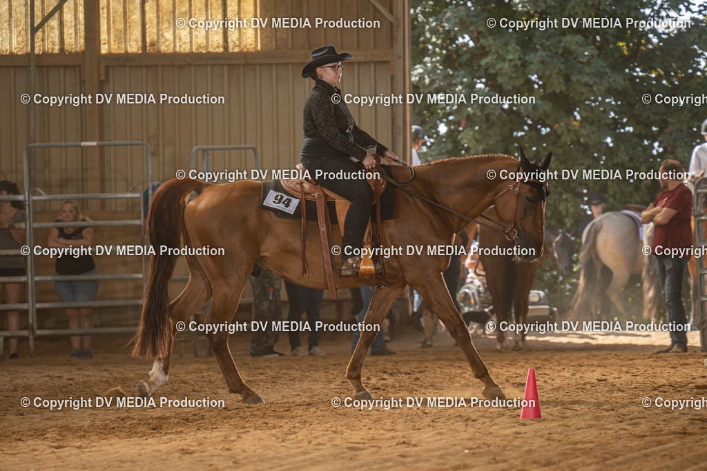 NID02978 | dv-media-shop - Realisiert mit Pictrs.com