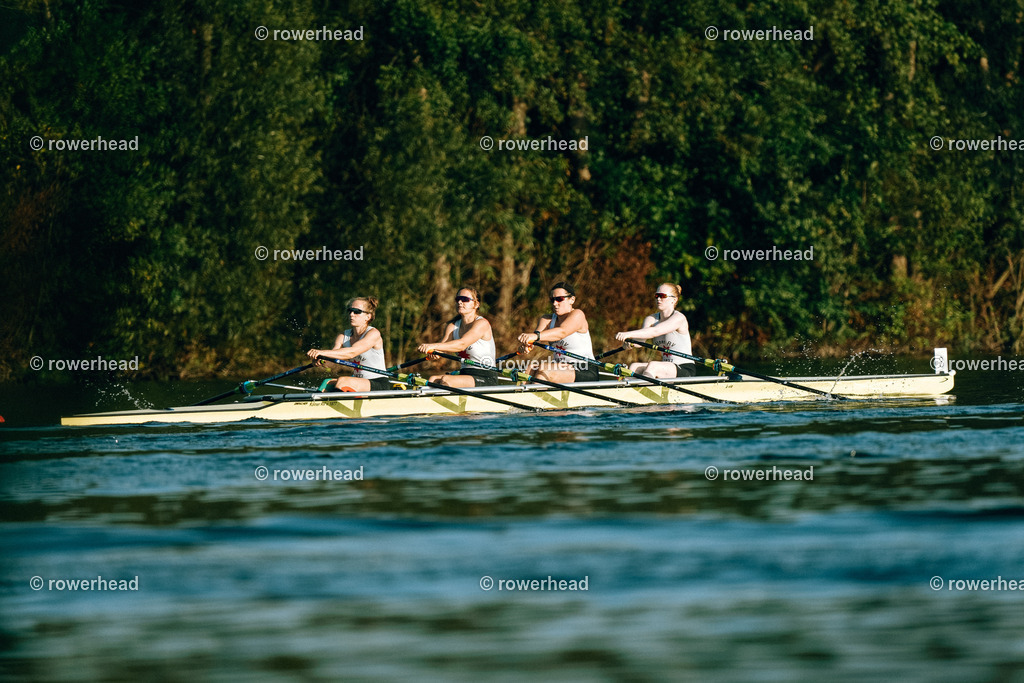 20240921_rowerhead_R61_S0037_DSC09947 | rowerhead - Realisiert mit Pictrs.com