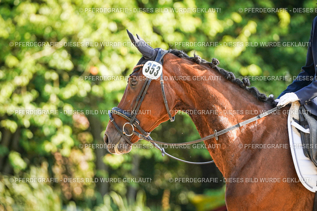 DSC07960 | Pferdegrafie