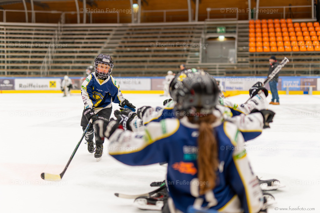 DSC_4287 | "Fussifoto.com – Ihr Ansprechpartner für hochwertige Fotografie! Entdecken Sie kreative Bilder und professionelle Dienstleistungen. Kontaktieren Sie uns für Ihre Projekte!"