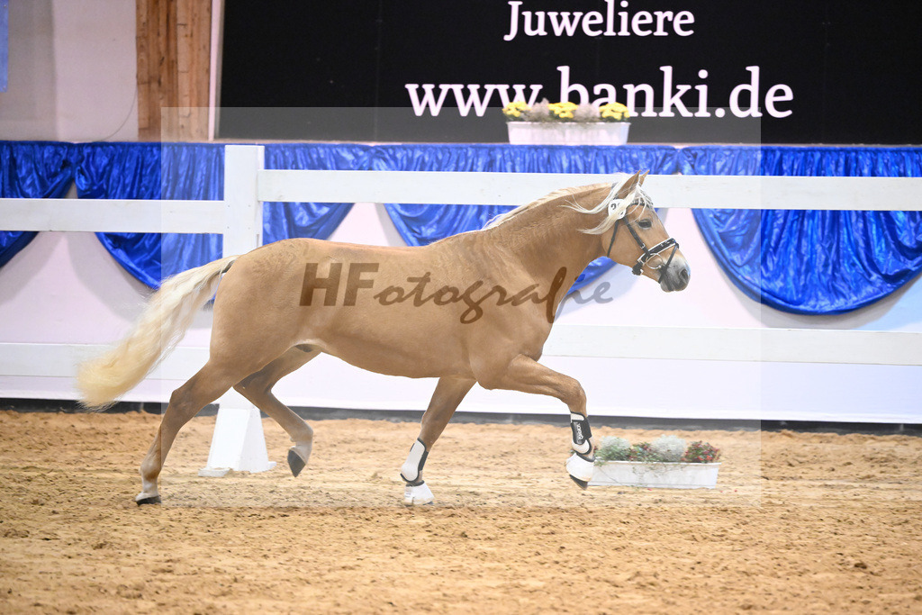 Kat-Nr. 36 nn v. Ansgar_Port_60220588 | hf-fotografie - Realisiert mit Pictrs.com