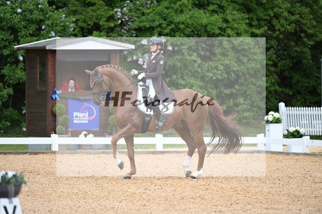 Reichert_SpringBank II VH_26266185 | hf-fotografie - Realisiert mit Pictrs.com