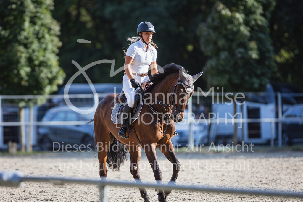 220824_Delbrueck_Stil-A1-312 | Deine schönsten Turniermomente als professionelle Fotos! Entdecke hochwertige Pferdesport-Fotografie im Online-Shop. Jetzt Fotos finden & bestellen!