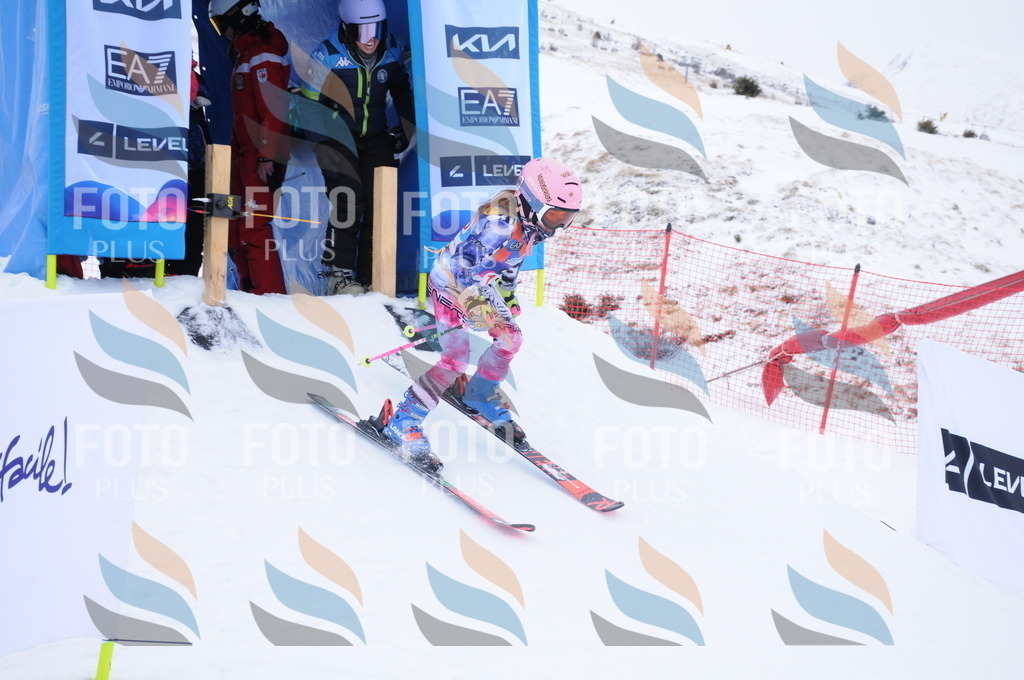 DSC_8331 | holidayphoto