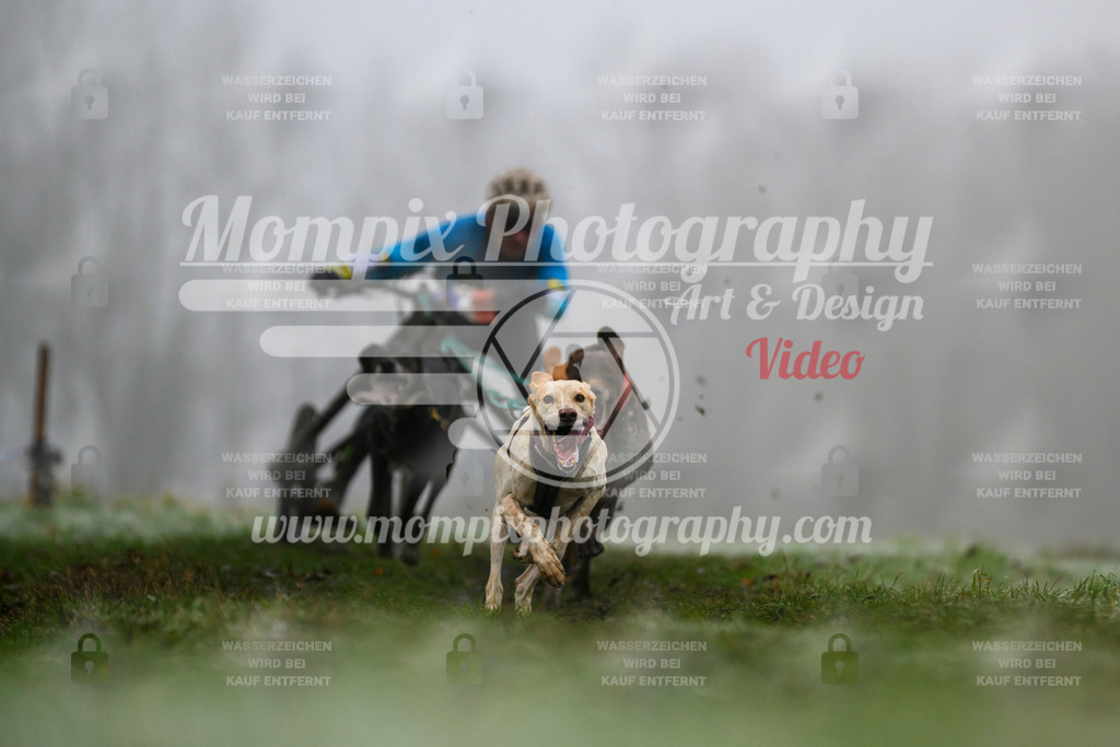 MompixPhotography_CDF2023_FFST_Di_Kart-37 | PayLife