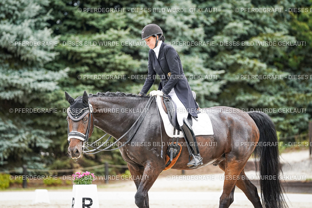 DSC06836 | Pferdegrafie