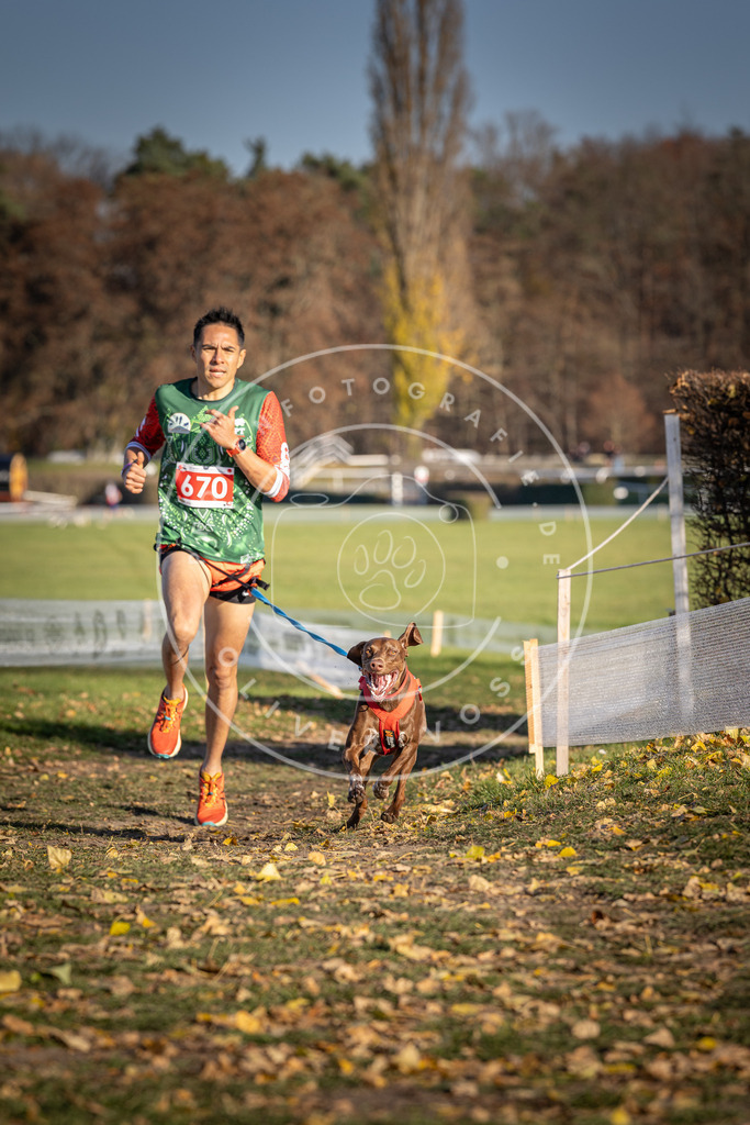 CaniXpix_DV3A0827 | Hundefotografie, Tierfotograf, Pfotenfotografie, Fotoshooting Hund, Hunde Portrait, Hundesport, Hundeportraits, Heideshooting, Hunde, Sportfotograf, Hundefotograf, Turnierhundsport, THS,  - Realisiert mit Pictrs.com