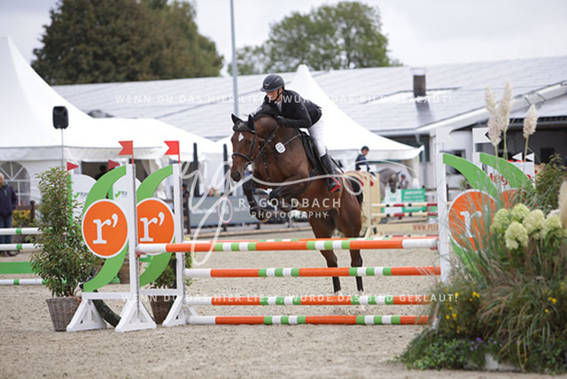 1J2A2172Britta Braunert_ Convolto PS_ Kn289_ Havekost | Foto- und Videografie für alles rund ums Pferd. Hochwertige Bilder und Videos vom Spring- und Dressurreiten, Voltigieren & mehr. Jetzt aktuelle Veranstaltungen und Preise im Shop ansehen. - Realisiert mit Pictrs.com