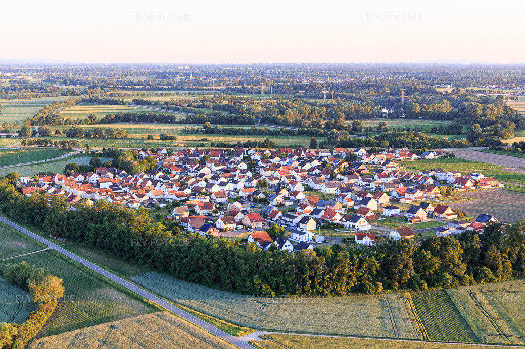 Luftbild: Ortsansicht im Ortsteil Hardtwald in Neupotz im Bundesland Rheinland-Pfalz in Deutschland. Foto: IMG_115349.jpg vom 13.06.2019 durch Werner Riehm/FLY-FOTO.de