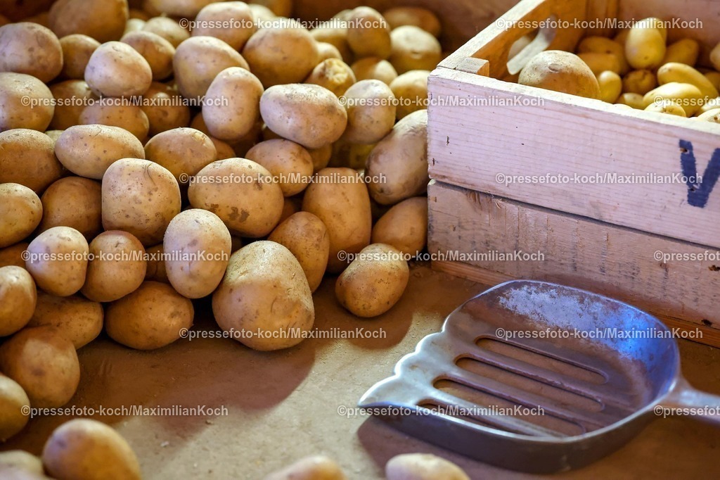 CR29112501057 | 29.11.2025, Castrop-Rauxel, Kartoffeln Kartoffel Lagerung Hofladen regional