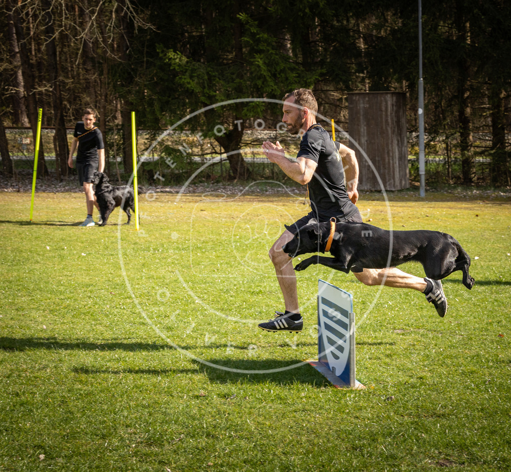 Pfotenfotografie_DV3A1750 | Hundefotografie, Tierfotograf, Pfotenfotografie, Fotoshooting Hund, Hunde Portrait, Hundesport, Hundeportraits, Heideshooting, Hunde, Sportfotograf, Hundefotograf, Turnierhundsport, THS,  - Realisiert mit Pictrs.com