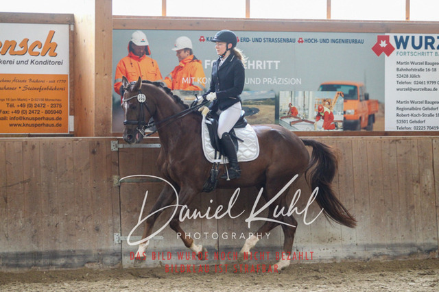 DKP44878 | Turniersportfotografie; Pferdefotografie; Dressurfotografie