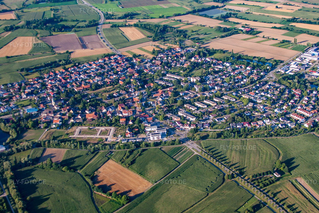 Luftbild: Ortsansicht der Straßen und Häuser der Wohngebiete-Goldscheuer im Ortsteil Goldscheuer in Kehl im Bundesland Baden-Württemberg in Deutschland. Foto: IMG_59520.jpg vom 16.08.2013 durch Werner Riehm/FLY-FOTO.de