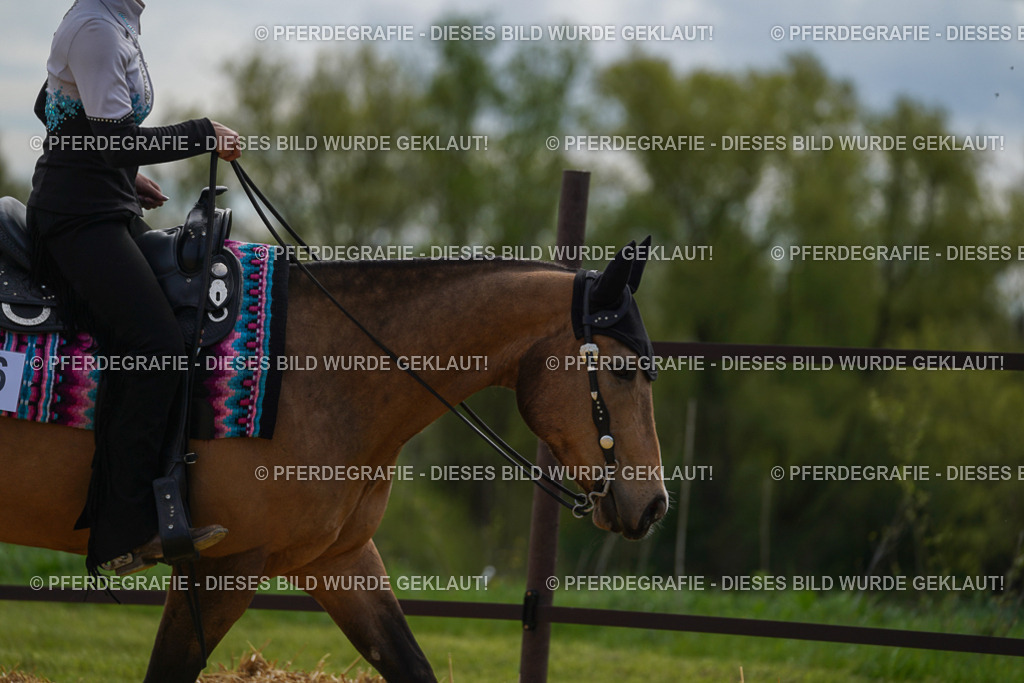 DSC03694 | Pferdegrafie