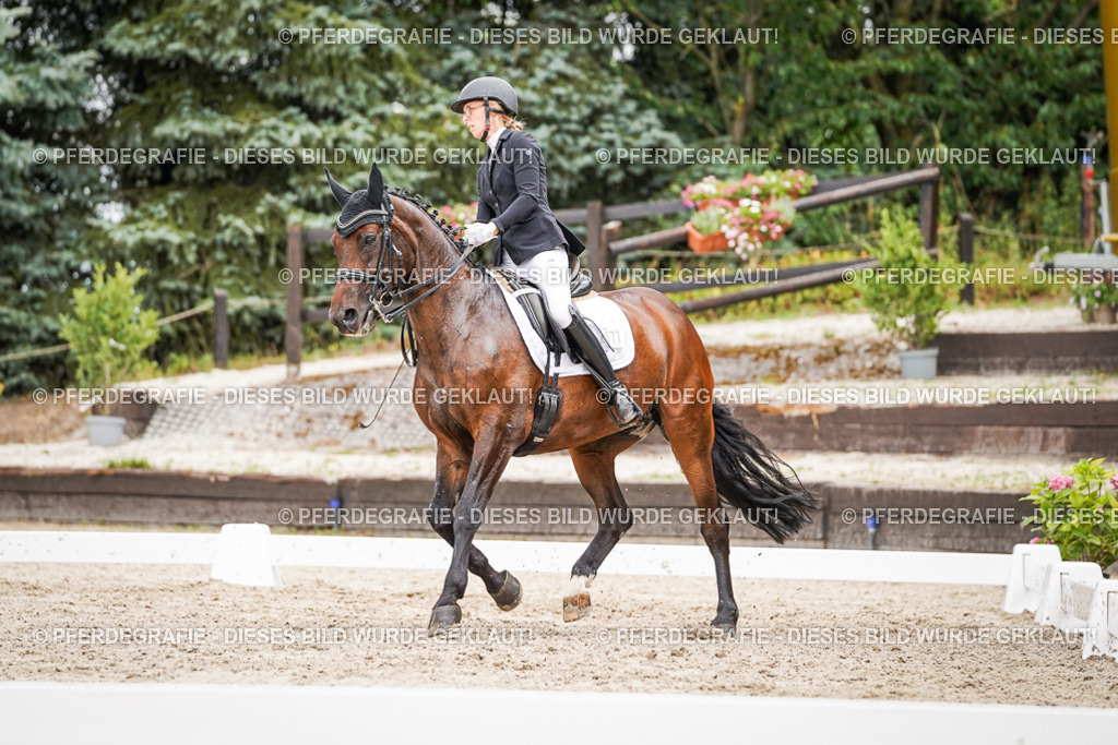 DSC04694 | Pferdegrafie