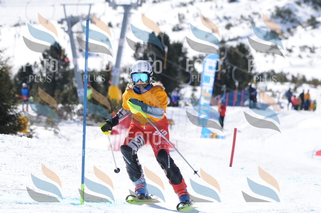 C8901 | holidayphoto