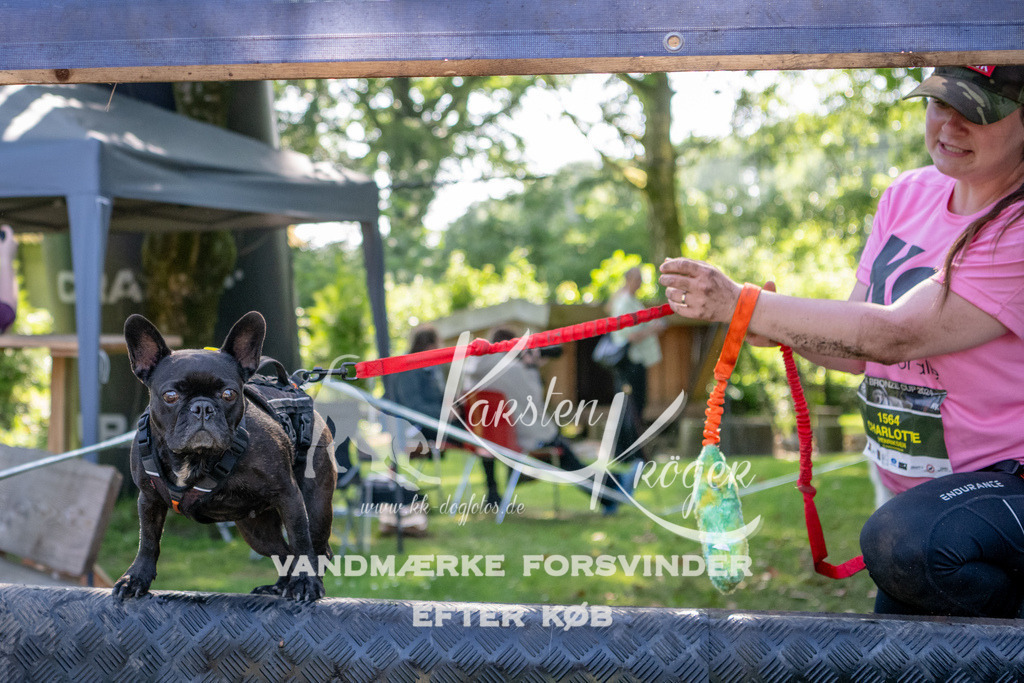 1537_ZZ92005 | kk-dogfotos