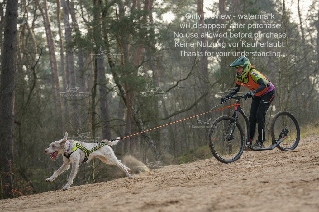 Scooter1-211 | stephaniefillaphotographie - Realisiert mit Pictrs.com