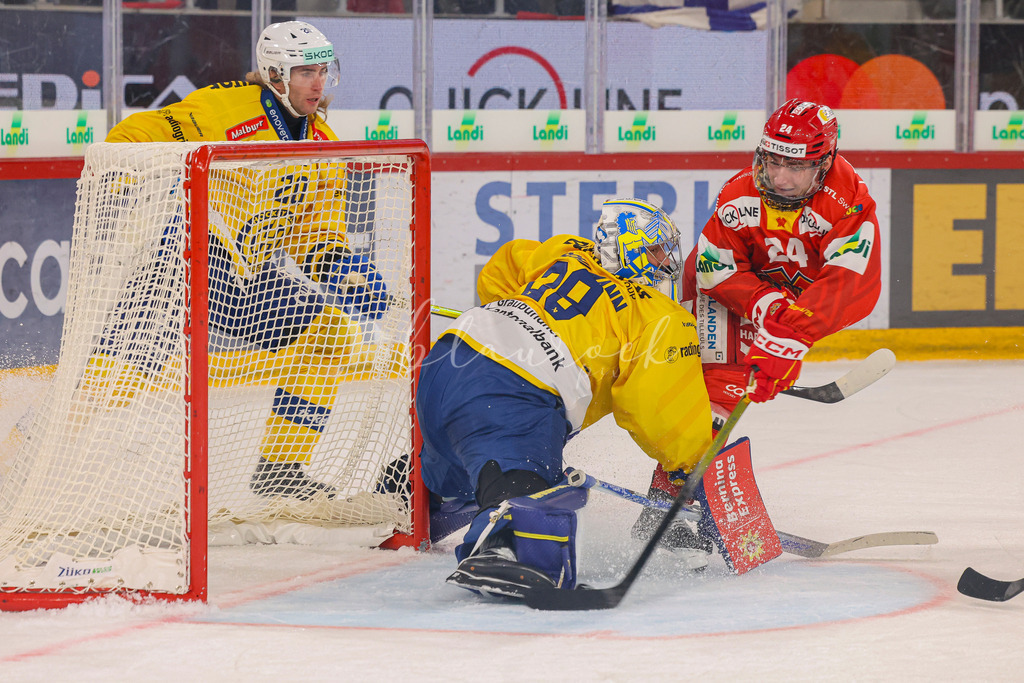09112025_EHCB vs HCD_wb-3616 | Sportbilder, Sportfotograf, Hochzeits- und Eventfotografin, Flugshows, Portraits und Tiershooting, Aviation, Downhill, Nationalleague, Swissleague, International
