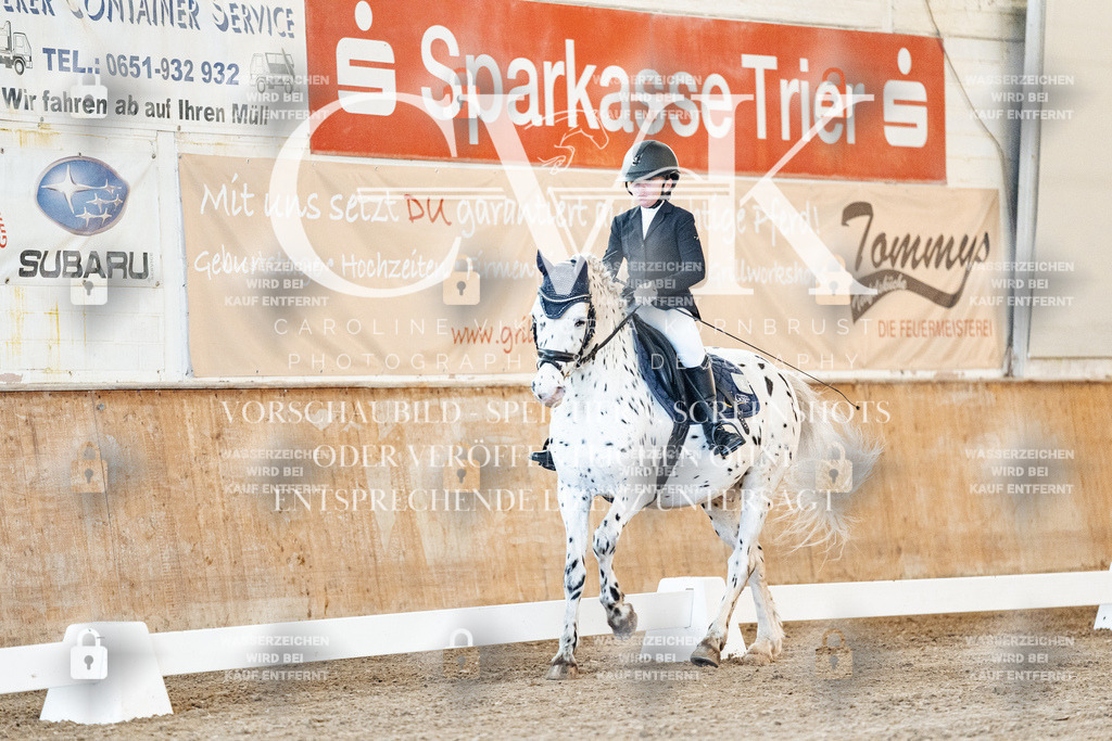 CK906425 | Turnierfotografie Pferdefotografie Trier Rheinland-Pfalz Pferdesport Reitsport Tierfotografie Sportfotografie Pferdevideo Pferdevideografie Equestrianvideography equestrianphotography  - Realisiert mit Pictrs.com