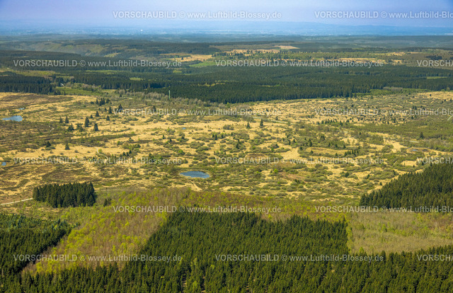 Monschau240502323HohesVenn | Luftbild, Hohes Venn Naturpark Eifel, Hochfläche bei Mützenich Landschaftsschutzgebiet, Vennhochfläche Wiesen und Felder Moorheidekomplex, Grenzgebiet Deutschland-Belgien, Mützenich, Monschau, Nordrhein-Westfalen, Deutschland