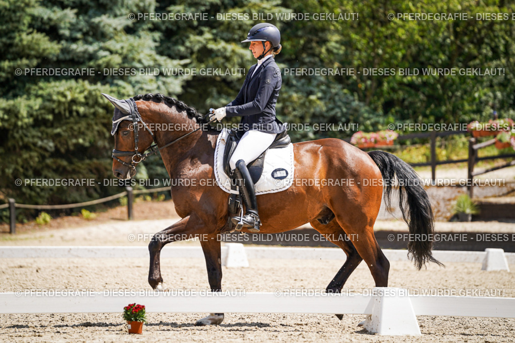 DSC01356 | Pferdegrafie