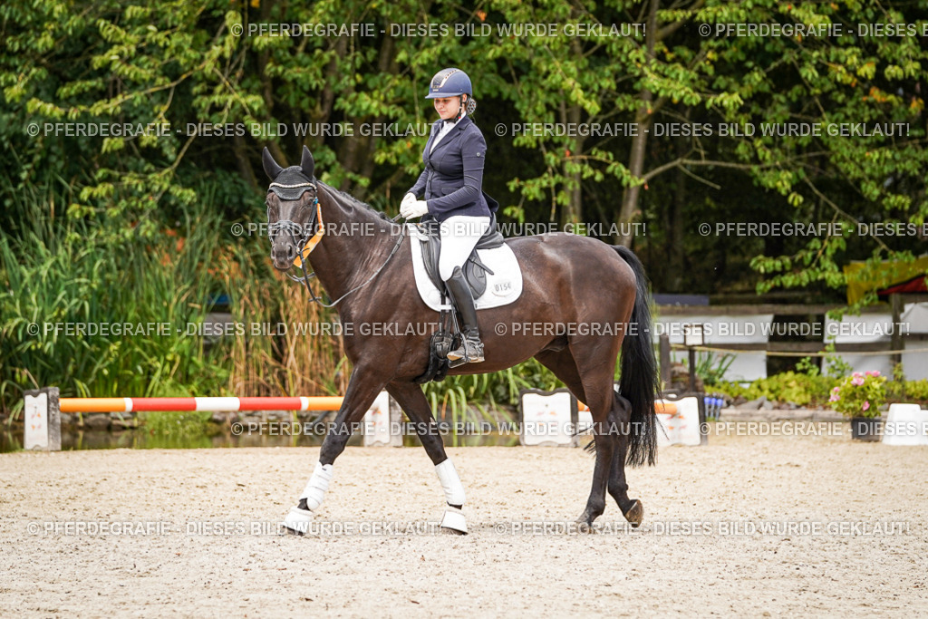 DSC04663 | Pferdegrafie