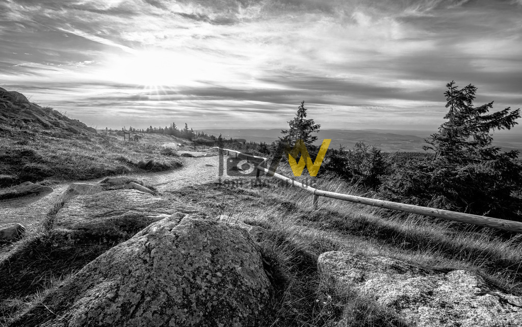 0Y9A6091-Verbessert-RR-Bearbeitet-Bearbeitet_swx | Hochauflösende und hochwertige Bilder und Fotos.Kommerzielle oder private Nutzung ✔ Bilder downloaden✔ Acryl ✔ Leinwand ✔ Poster ✔
 - Realisiert mit Pictrs.com