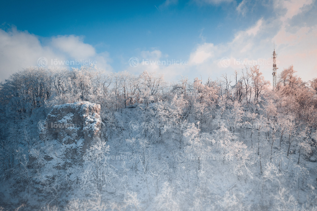 DANIEL-GIMMER-PHOTOGRAPHY_LOEWENBLICKE_0385 | löwenblicke | shop